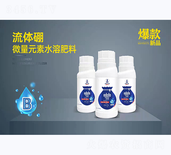 ���w��-�Ķ��S