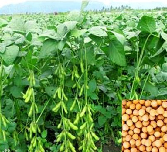 �ඹһ̖-�󶹷N��-��طN�I(y��)