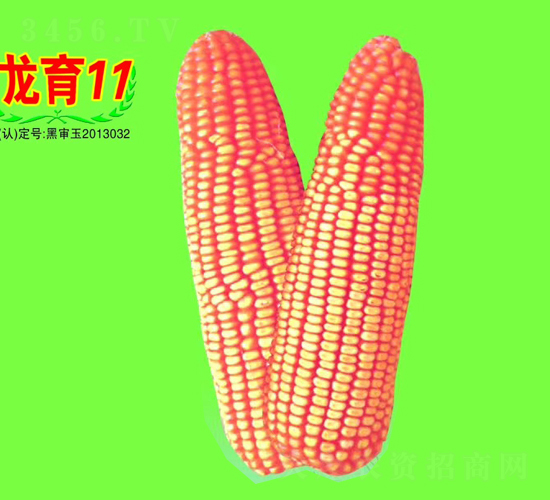 ����11̖(h��o)-���׷N��-��طN�I(y��)