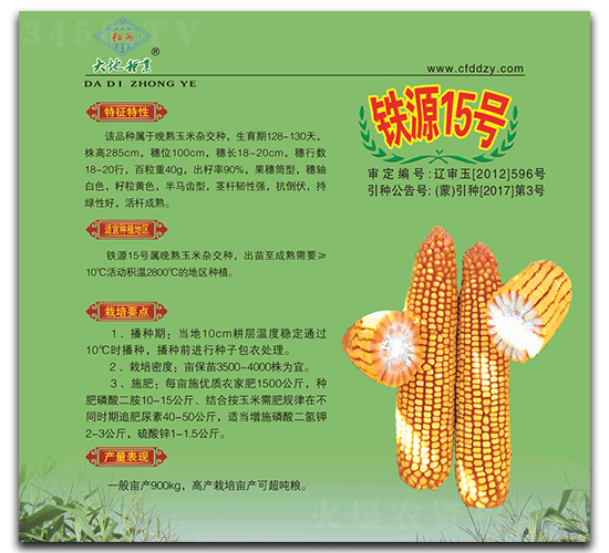 鐵源15號(hào)-玉米種子-大地種業(yè)