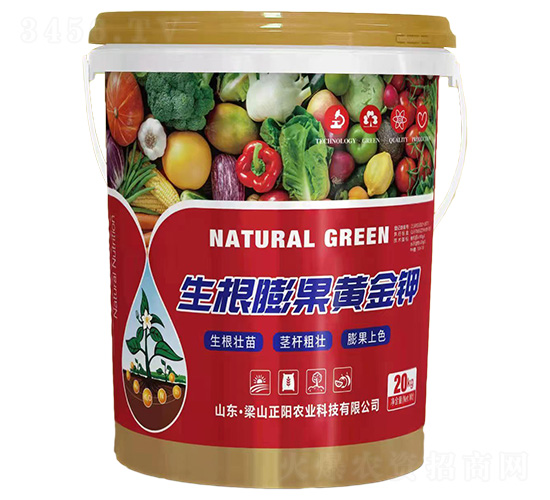 ��������S���-���(y��ng)�r(n��ng)�I(y��)