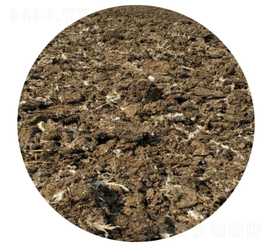 干雞糞-圣田生物