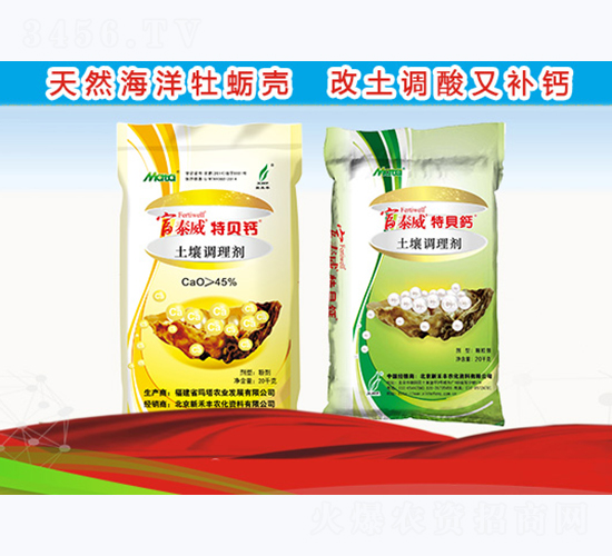 �����{(di��o)�턩-��̩����ؐ�}-�º��S