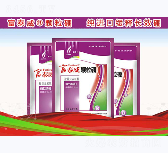 �w����-��̩��-�º��S