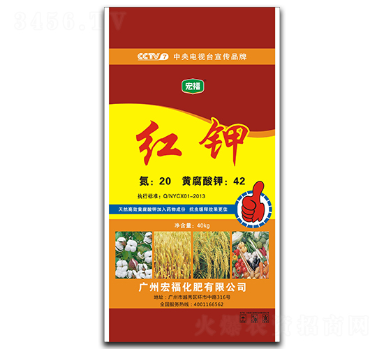 �t�-�������