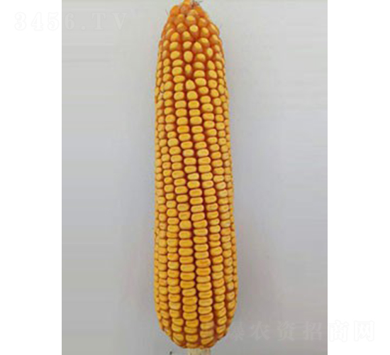 ͨ��1101-���׷N��-��̷N�I(y��)