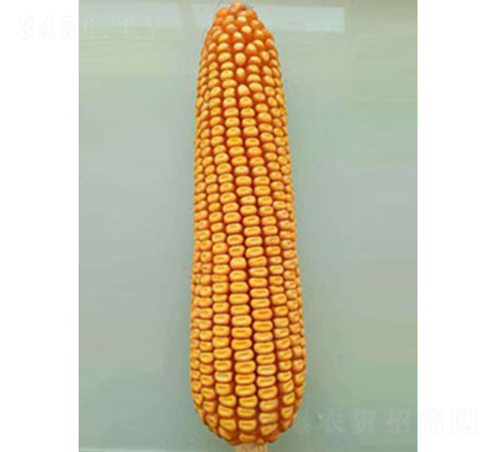 ���18-���׷N��-��̷N�I(y��)