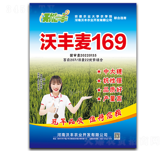 沃豐麥169-小麥種子-沃能豐