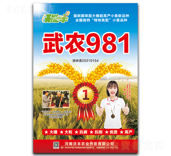 武農(nóng)981-小麥種子-沃能豐