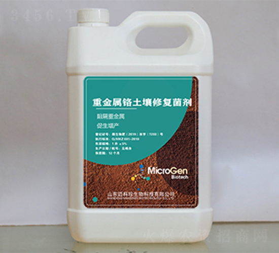 �ؽ����t�����ޏ�(f��)����-�~��������