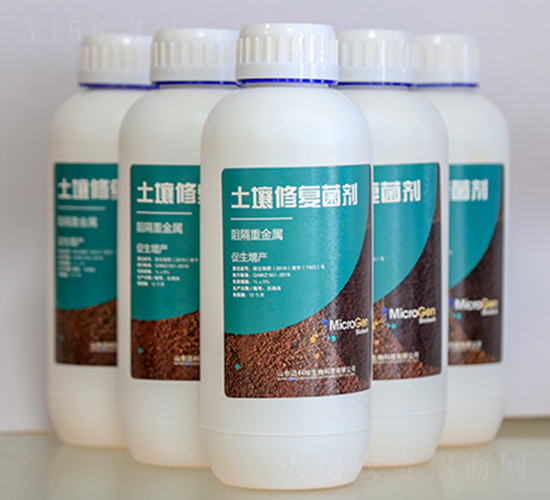 �ؽ����������ޏ;���-�~��������