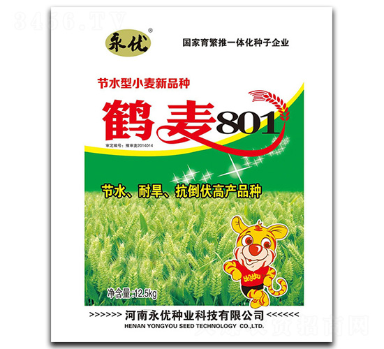 鶴麥801小麥種子-永優(yōu)種業(yè)