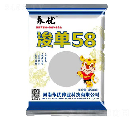 浚單58-玉米種子-永優(yōu)種業(yè)