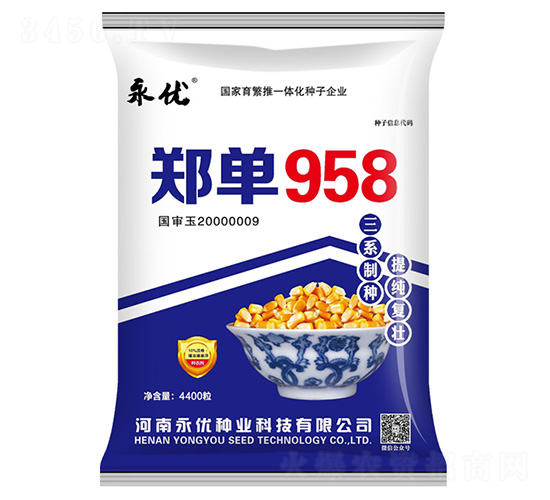 鄭單958玉米種子-永優(yōu)種業(yè)