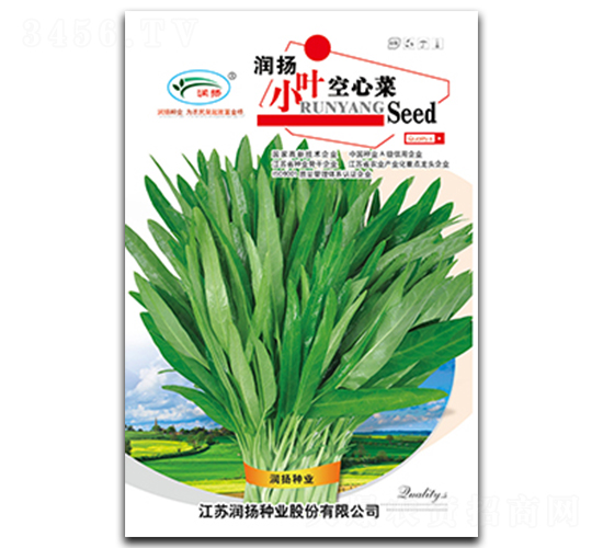 ���PС�~���Ĳ�-���Ĳ˷N��-���P�N�I(y��)