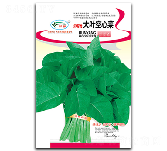 ���~���Ĳ�-���Ĳ˷N��-���P�N�I(y��)