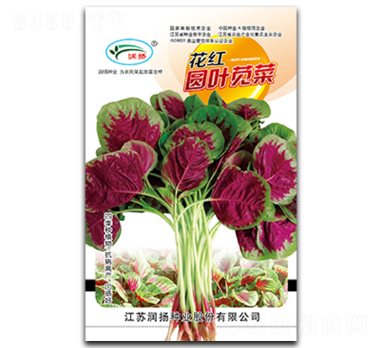 ���t�A�~�{��-�{�˷N��-���P�N�I(y��)