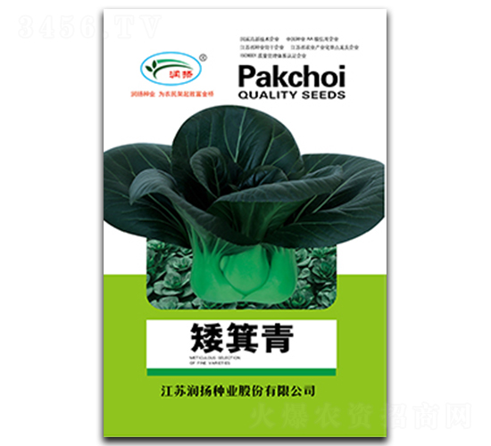 ������-��˷N��-���P�N�I(y��)