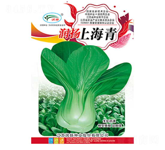 ��(r��n)�P(y��ng)�Ϻ���-��˷N��-��(r��n)�P(y��ng)�N�I(y��)