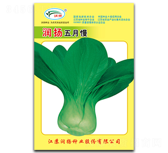 ���P������-��˷N��-���P�N�I(y��)