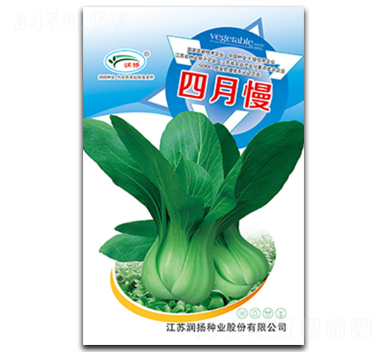 ������-��˷N��-���P�N�I(y��)