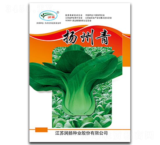 �P(y��ng)����-��˷N��-��(r��n)�P(y��ng)�N�I(y��)