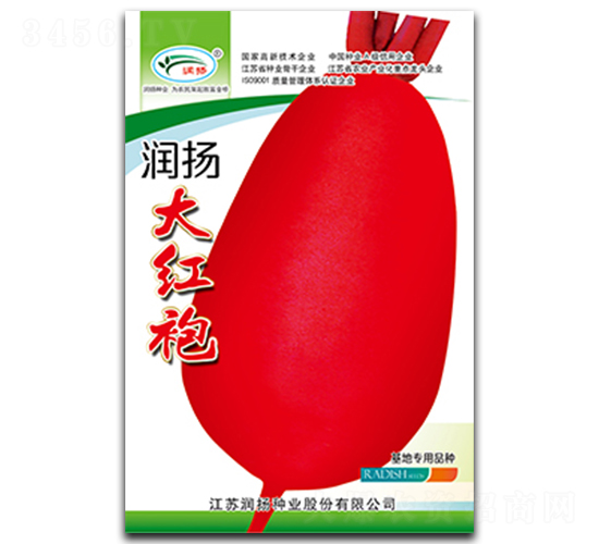 ���P��t��-�}���N��-���P�N�I(y��)