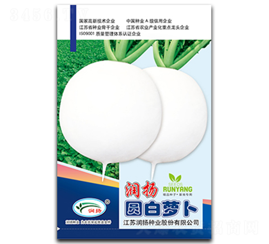 ���P(y��ng)�A���}��-�}���N��-���P(y��ng)�N�I(y��)