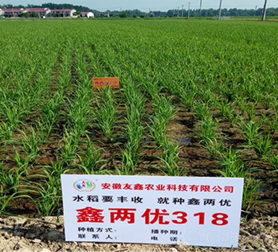 �΃Ƀ�(y��u)318-ˮ���N��-��(r��n)�P(y��ng)�N�I(y��)