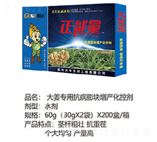 大姜專用抗病膨塊增產(chǎn)化控劑-正能量