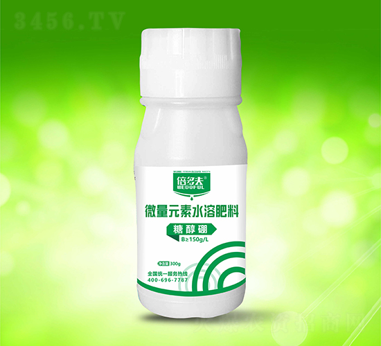 �Ǵ���-�����