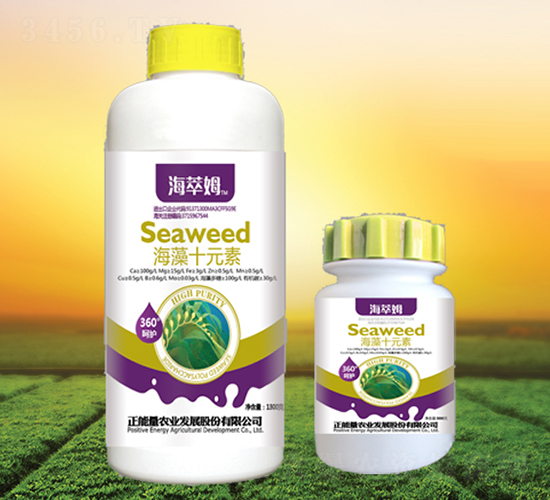 ����ʮԪ��-����ķ-������