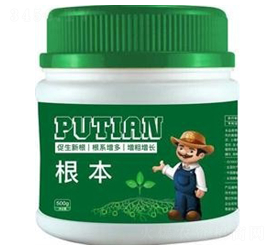 ����-����Ƽ�