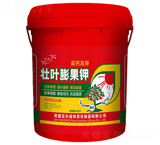 ���~����-���|����