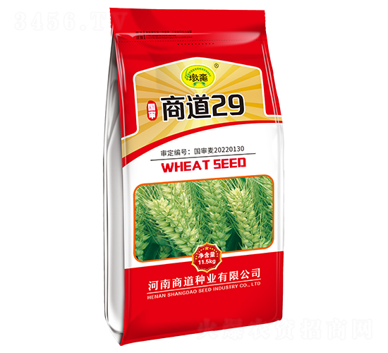商道29-小麥種子-商道種業(yè)