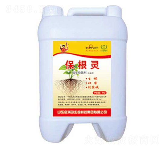 �����`΢�������-��M��