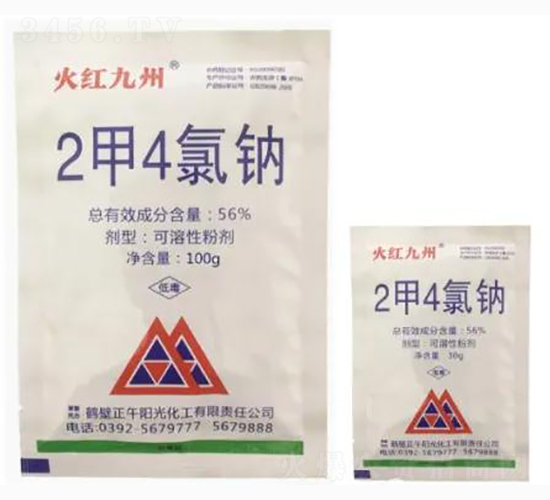 56%2��4���c�ۄ�-��t����-����ꖹ�