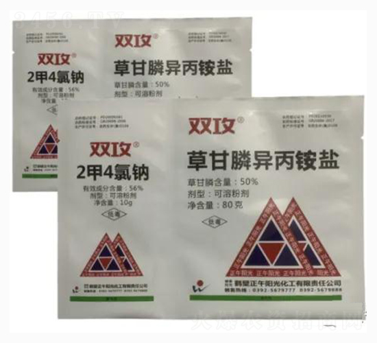 50%2��4���c+50%�ݸ���@�}-�p��-����ꖹ�