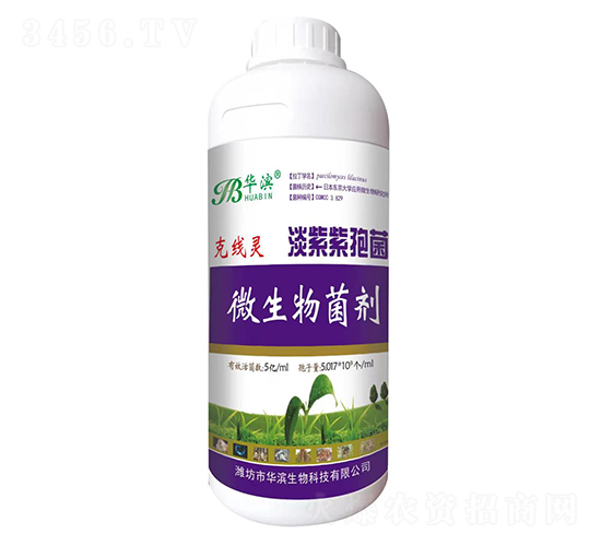 �������߾�-�˾��`-�A�I����