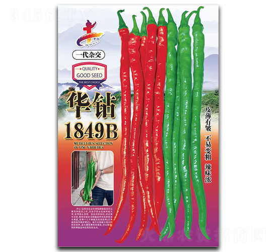 �A�@1849B-�����N��-�Aһ�N�I(y��)