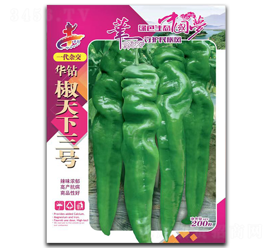 �A�@��������̖(h��o)-�����N��-�Aһ�N�I(y��)