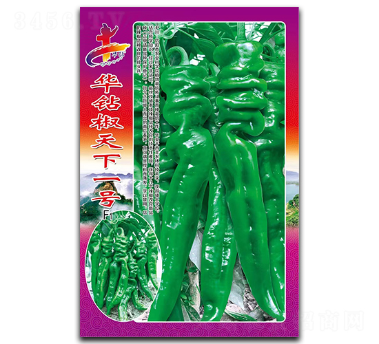 �A�@������һ̖-�����N��-�Aһ�N�I(y��)