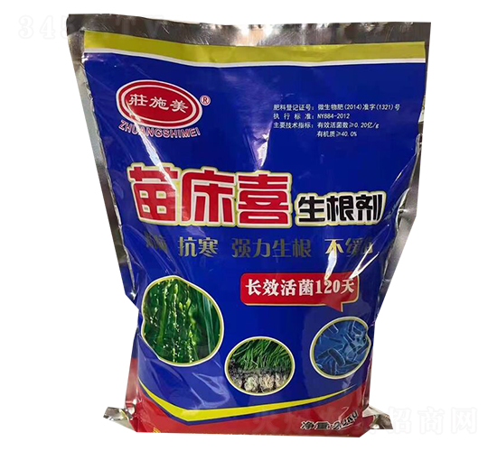 �紲ϲ������-�Pʩ������