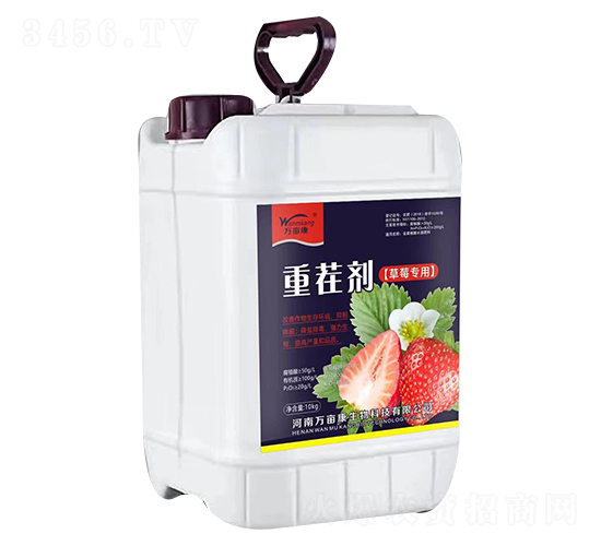 草莓專用-重茬劑-萬(wàn)畝康