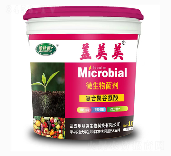 �w����΢�������-���}ͨ����