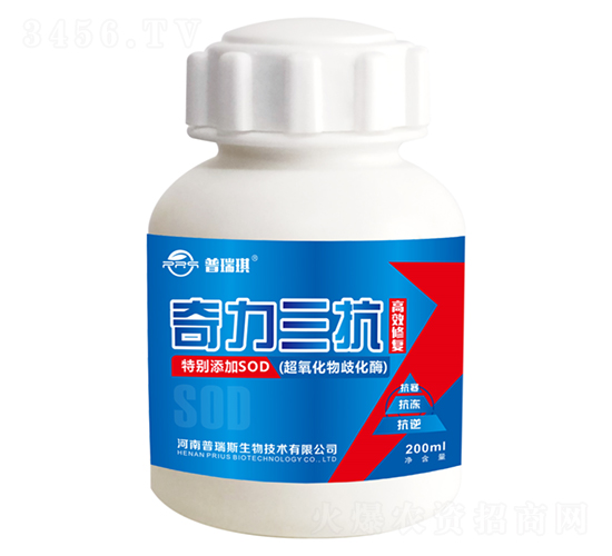 奇力三抗-普瑞琪