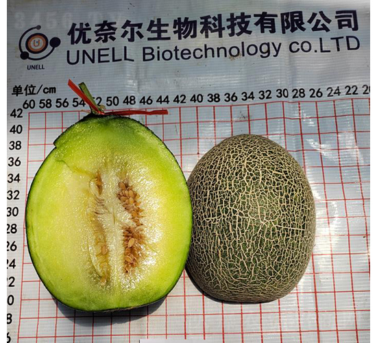 �G��25�q��-��ϷN��-��(y��u)�Π�����