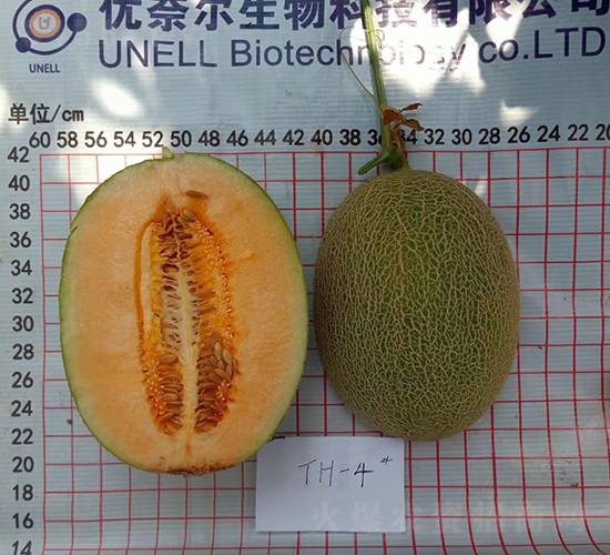 ��Ƥ����۸���-��ϷN��-��(y��u)�Π�����