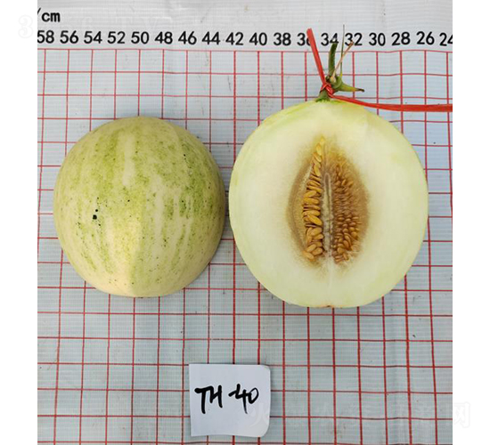 ����������¶�F(tu��n)-��ϷN��-��(y��u)�Π�����