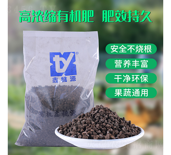 �ߝ�s�ЙC��-����